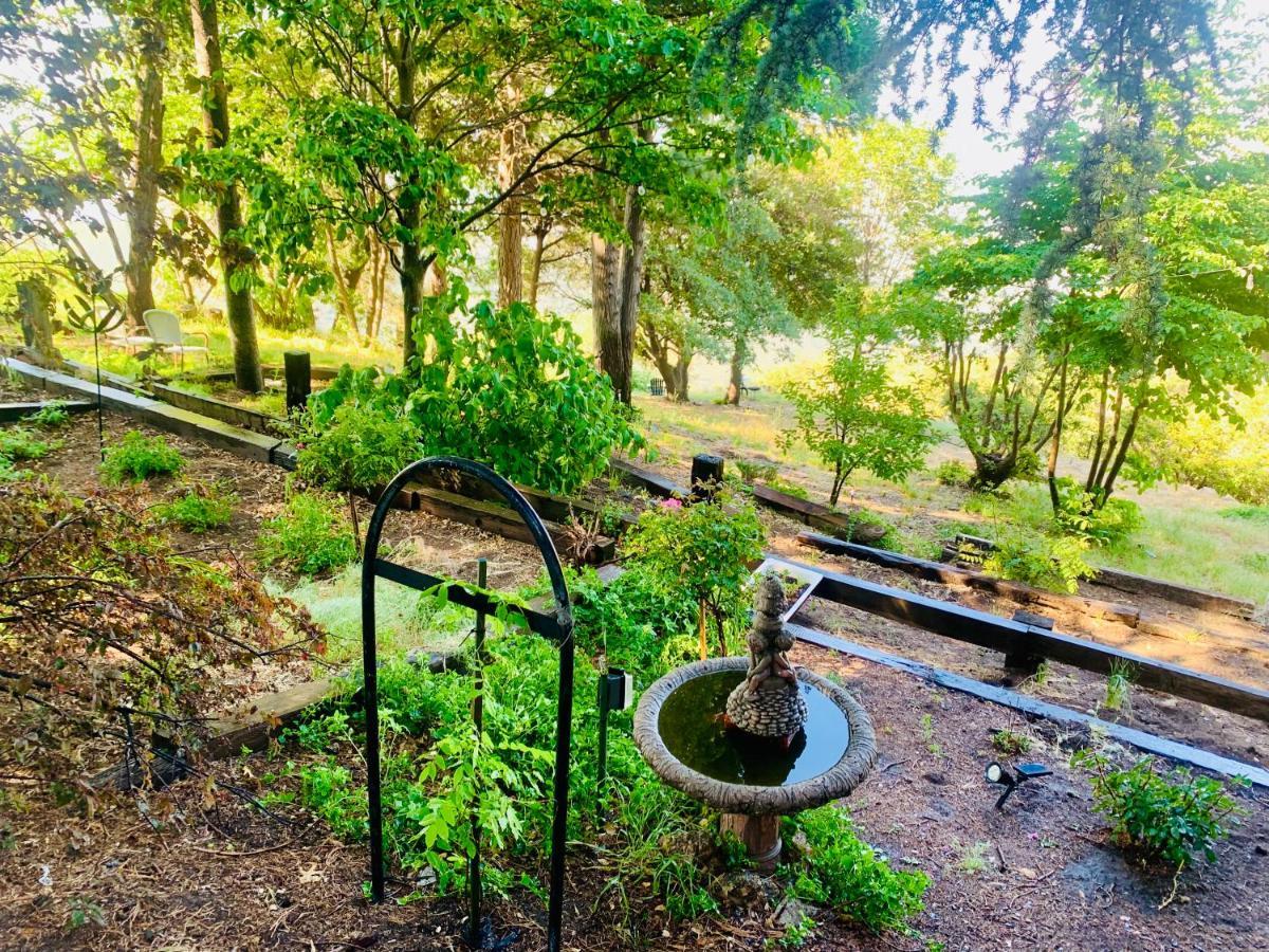 100 Mile View-Fire Pit, Romantic, Peaceful, Private Crestline Exterior photo